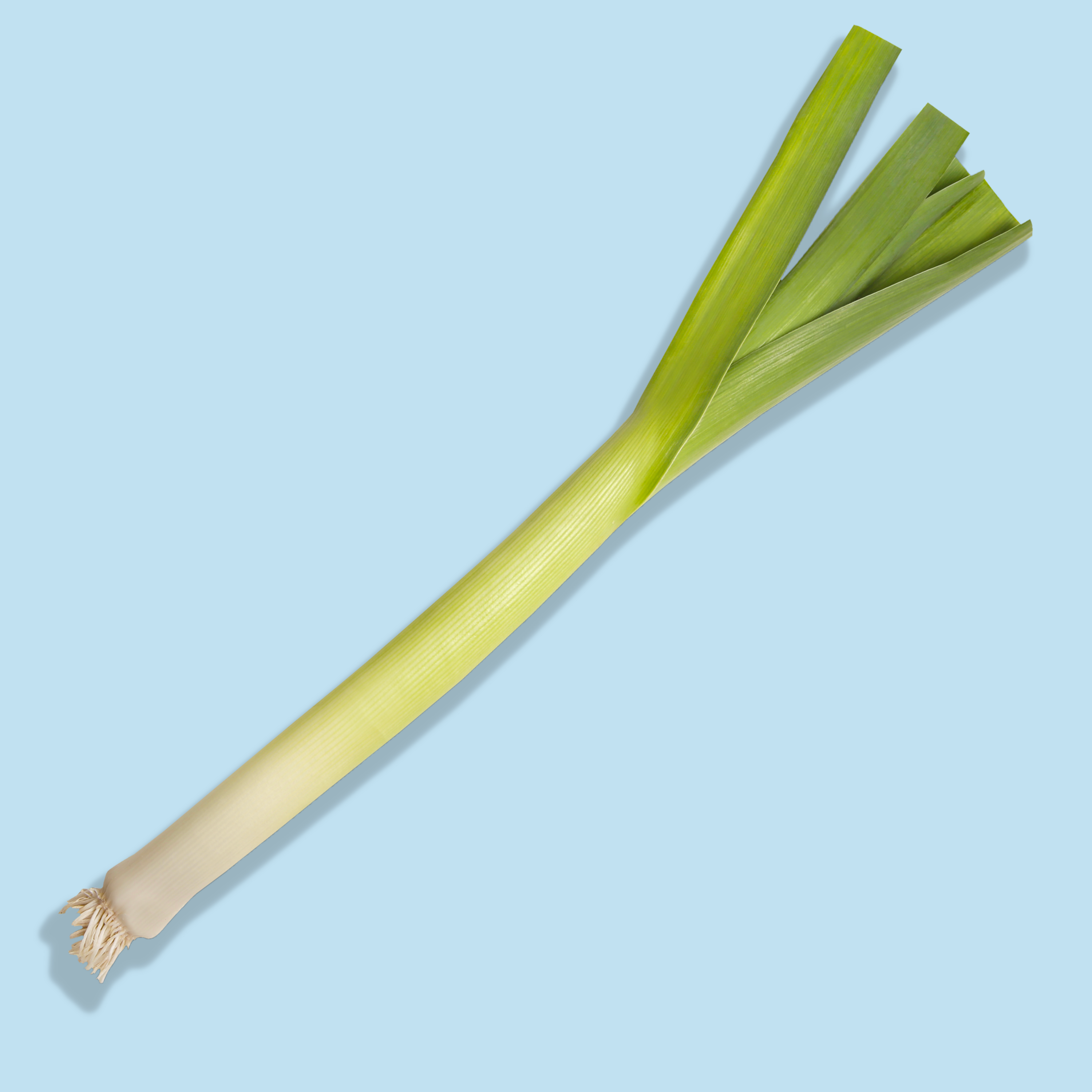 French Leeks | Taste France Magazine