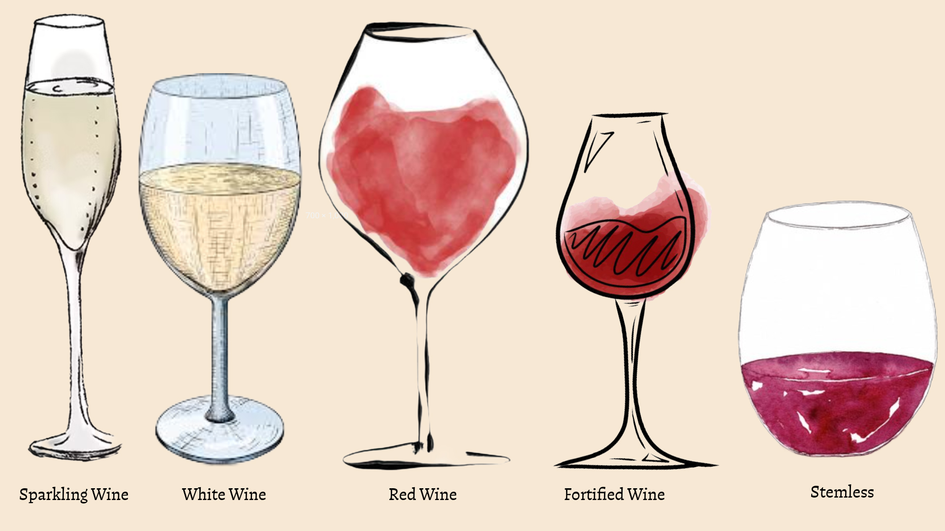 Wine Glass Guide: Which Shape to Use (and Why Flutes Aren’t Best for ...