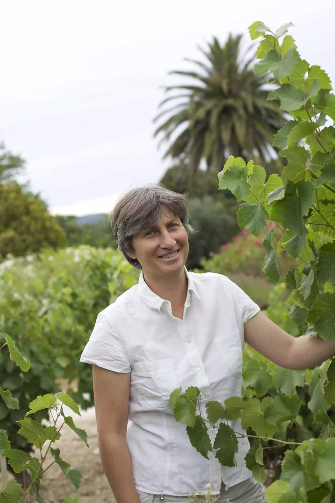 Profiles of women : Agnès Henry, Bandol 