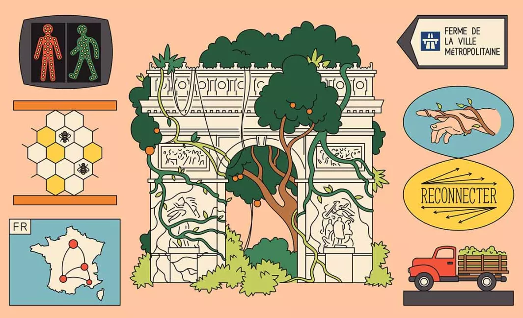 Green lines: City farms, not just filling shopping baskets 