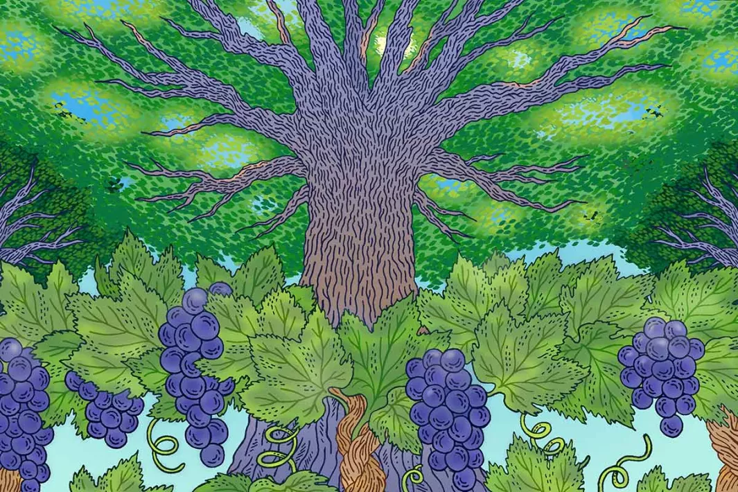 Trees