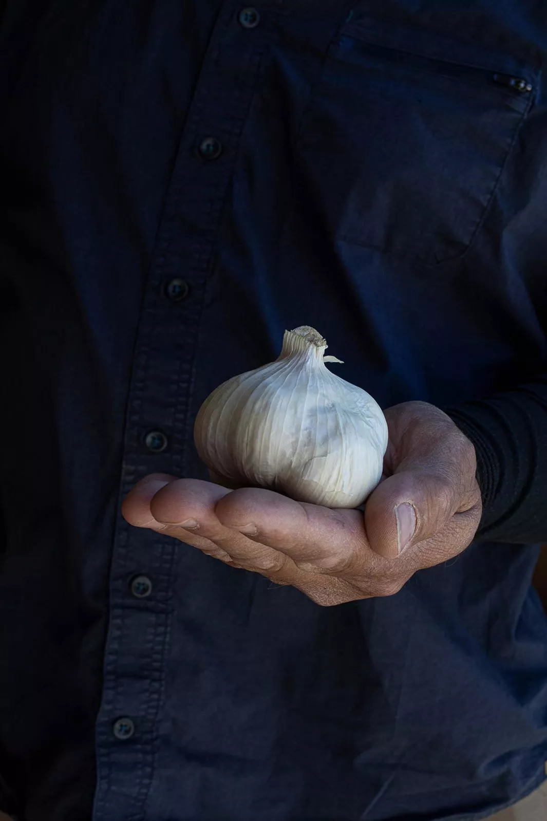 Drôme garlic: sweet heat