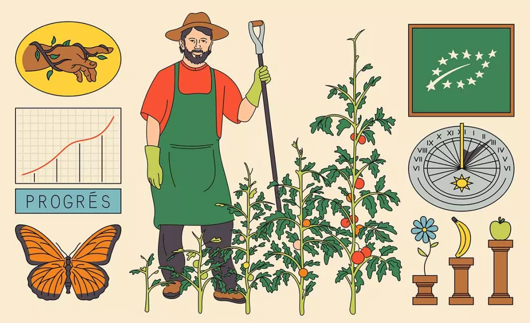 Green lines : Organic farming is gaining ground 