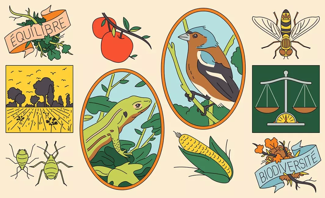 Green lines: Our Animal Friends