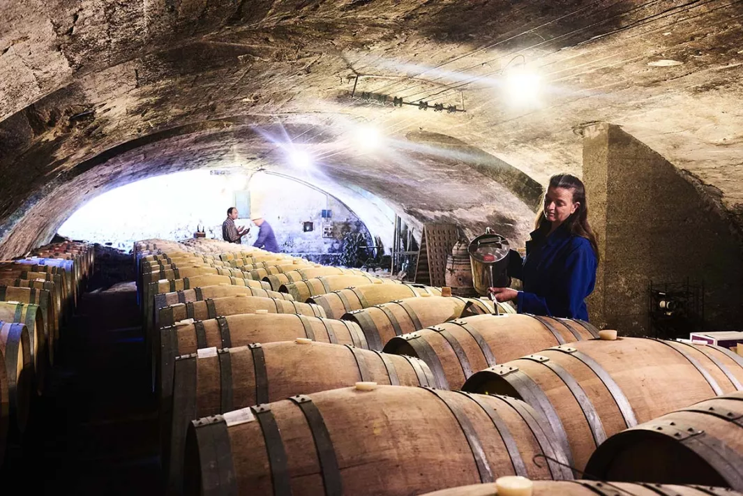 Burgundians? Mâconnais first!