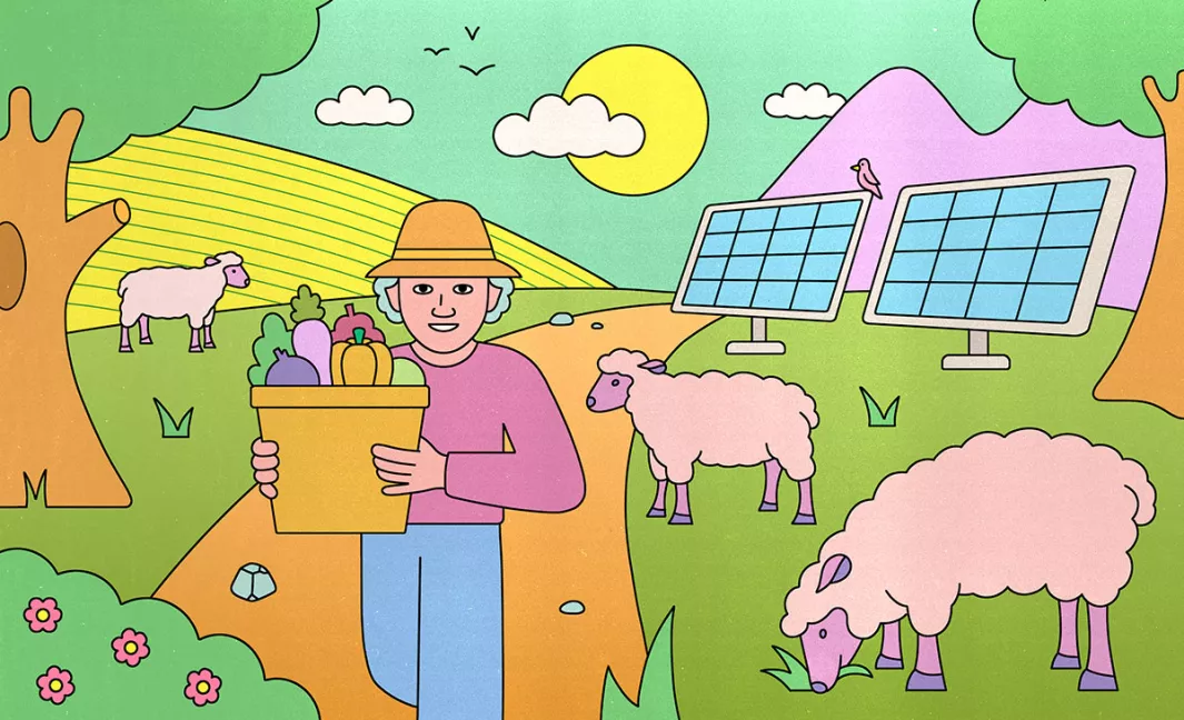 Green Lines: Agriculture and solar energy