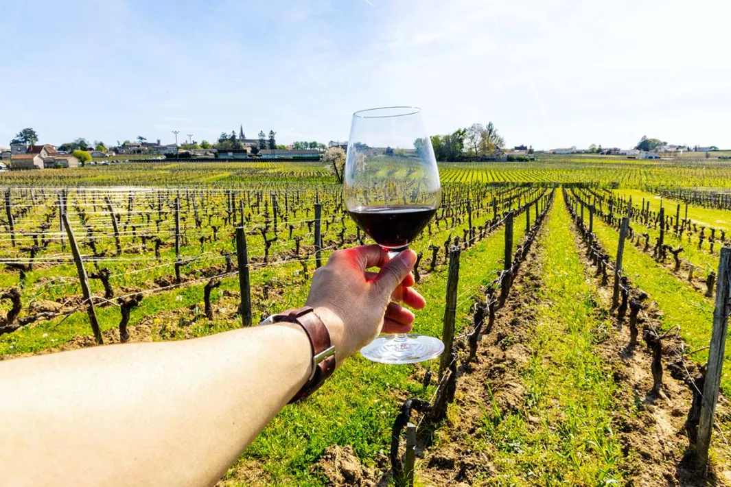 Raise Your Glass to a Festive Season with the best varietal wines from France, courtesy of Virgin Wines!