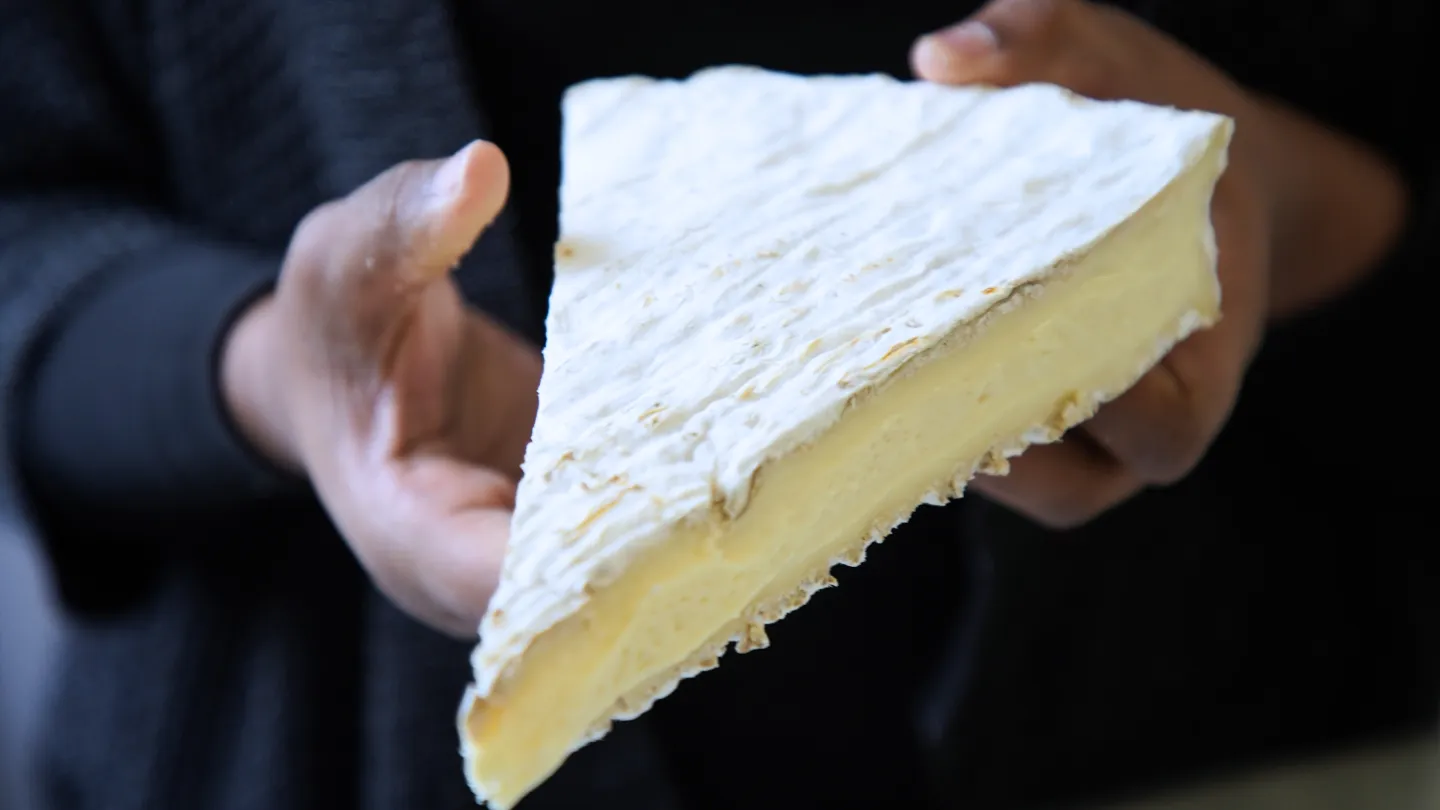 MTM Brie de Meaux