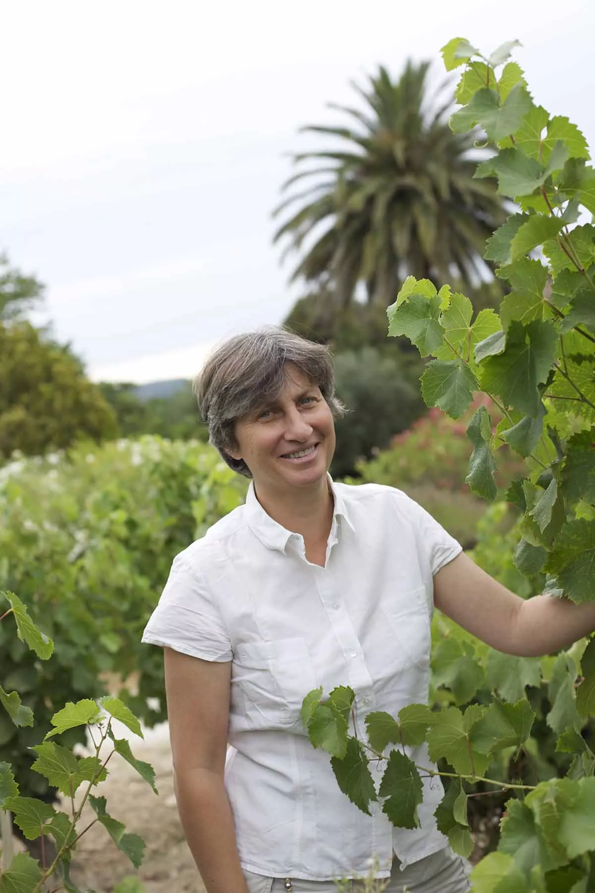 Profiles of women : Agnès Henry, Bandol