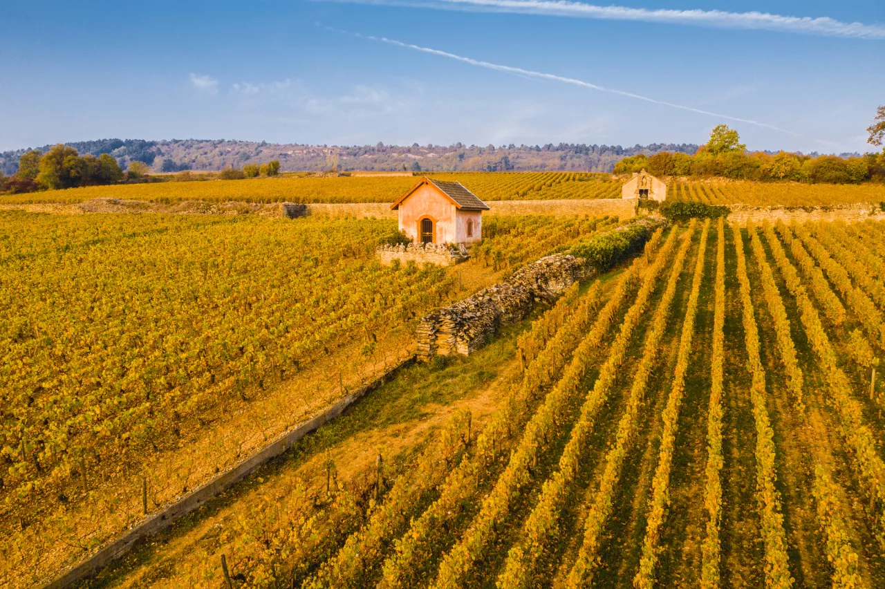 Our Top French Regions to Visit in 2023: Fall Edition - Côte d’Or