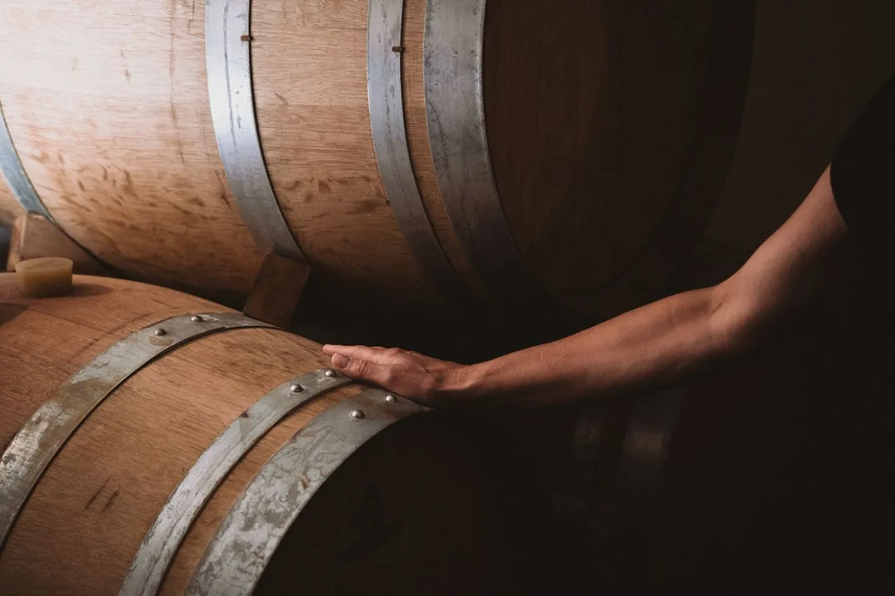 Meet the Maker_Centre-Loire wines