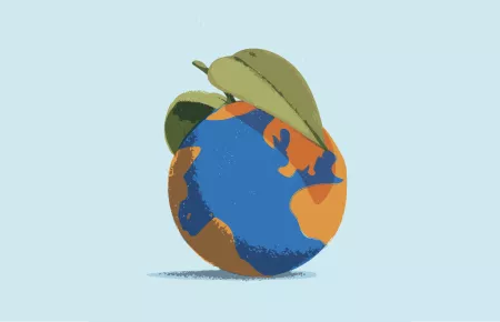 Sustainable food and gastronomy
