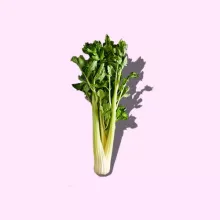 セロリ
