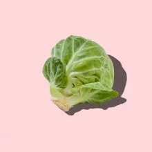 Rosenkohl