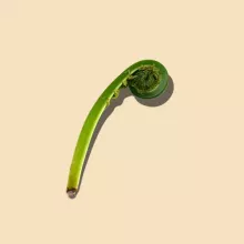 エリンギ