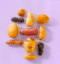 French potatoes 