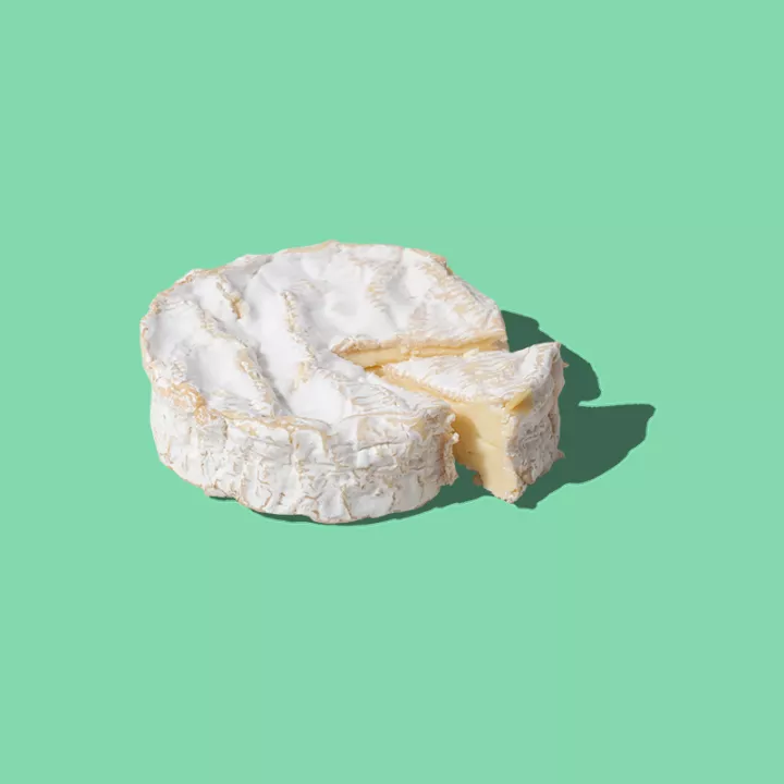 Camembert Cheese on green background