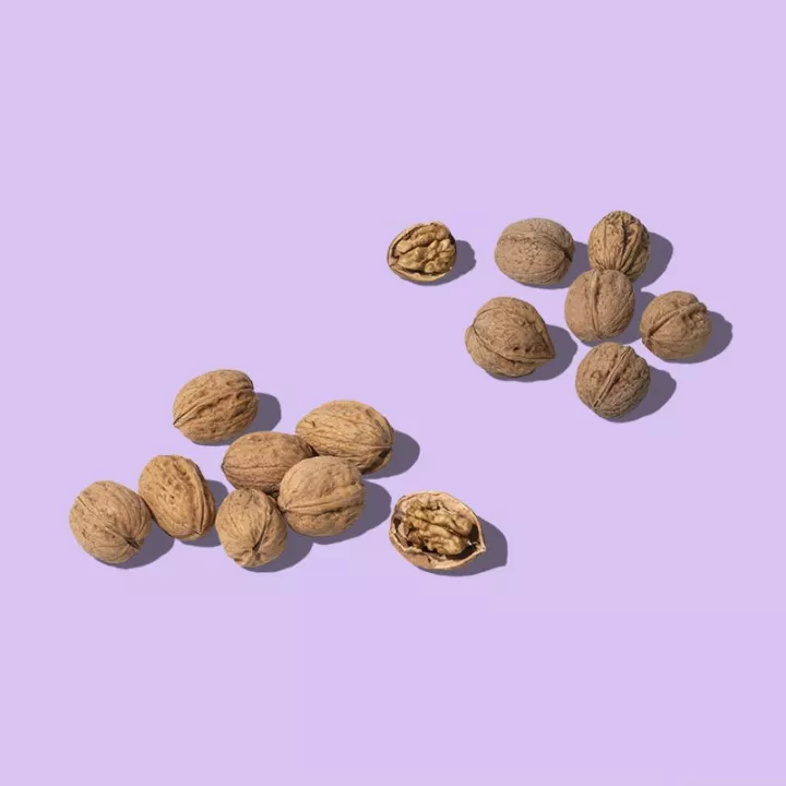 Grenoble Walnuts and Périgord Walnuts
