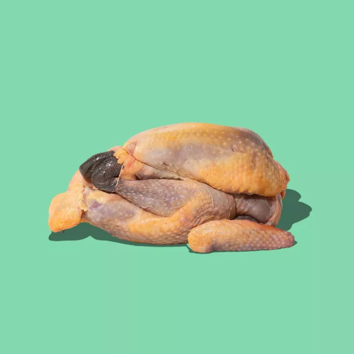 Pintade