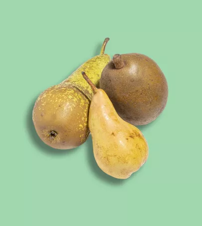 フランス産洋ナシ | Taste France Magazine
