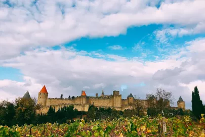Carcassonne_Weinlagen_Cité