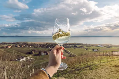 What Is Natural Wine? 