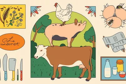 Reconnect with taste and biodiversity 