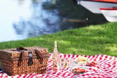 Picnic with French Twist