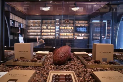 Le Chocolat Alain Ducasse