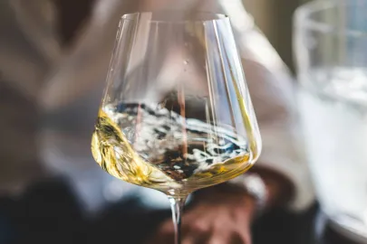 Wine guide