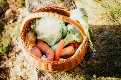 panier de legumes