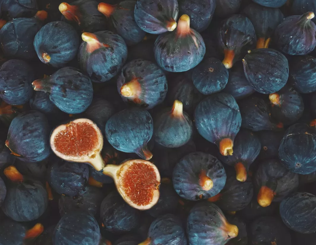 all about figs