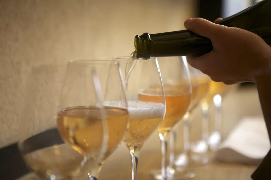“Bubbly”: A product of the cellar or the terroir? photo