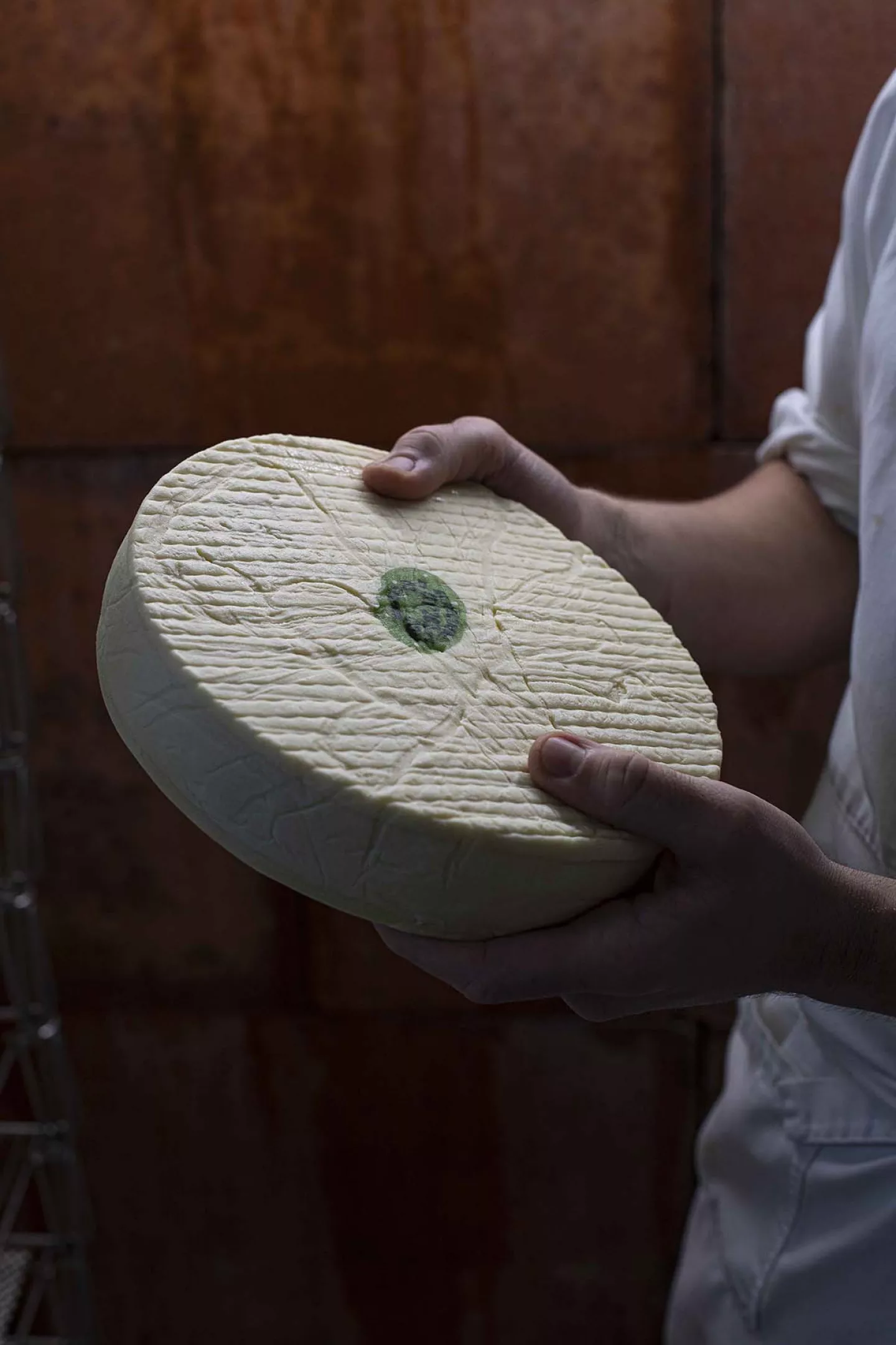 In search of Saint Nectaire cheese_Taste France Magazine
