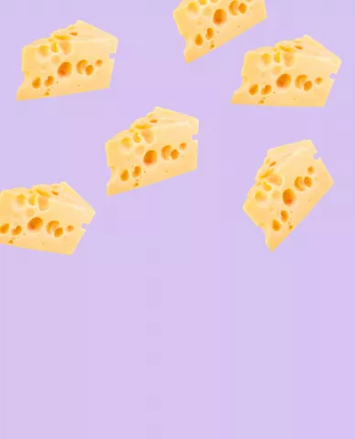 Cheese every day