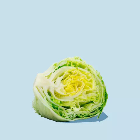 Iceberg_lettuce