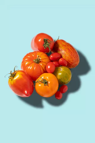 Französische Tomaten 