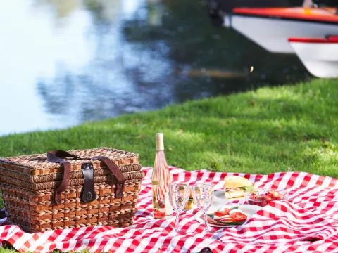 Picnic with French Twist