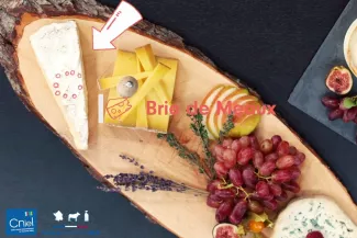DE-VIDEO-Tasting-CNIEL-Brie