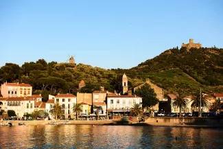 Anchovies from Collioure: the power of tradition!