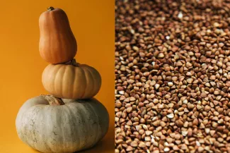 Musquée de Provence pumpkin – buckwheat 
