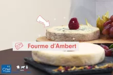 DE-VIDEO-Tasting-CNIEL-FourmedAmbert