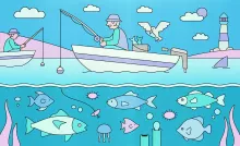 In praise of sustainable fishing 
