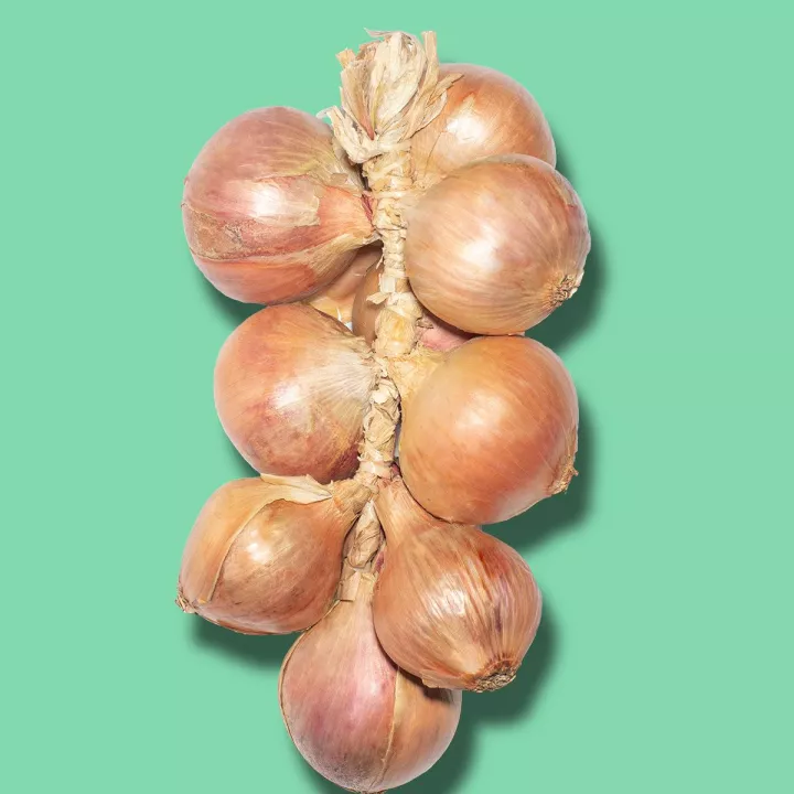 Roscoff onions PDO 