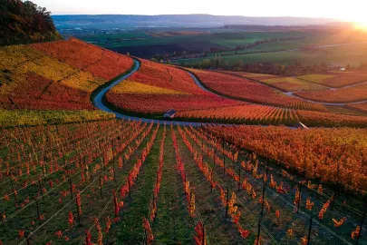 6 Under-the-Radar Wine Appellations to Visit This Fall