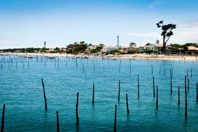 Our fench regions to visit : Bassin d'Arcachon