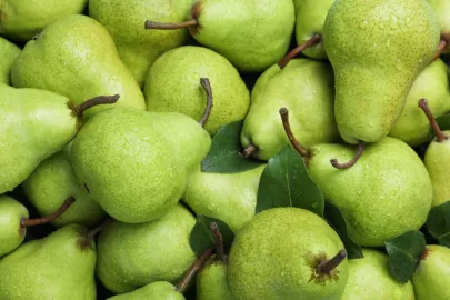 All about the williams pears