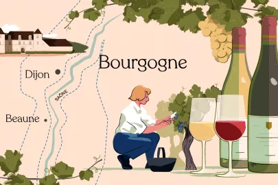 Terroirs of Burgundy