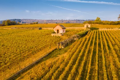 Our Top French Regions to Visit in 2023: Fall Edition - Côte d’Or 